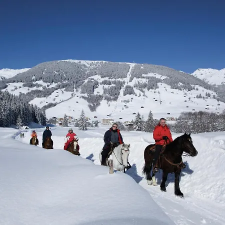 Splendid In Fugen Near Area