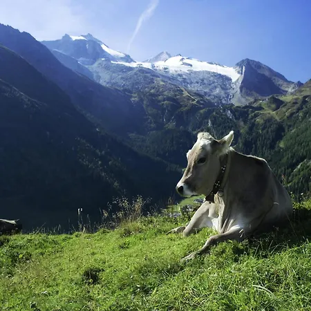 In Fuegen Near Slopes * Uderns