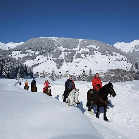 In Fuegen Near Slopes Appartamento