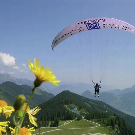 In Fuegen Near Slopes Апартаменты Удернс