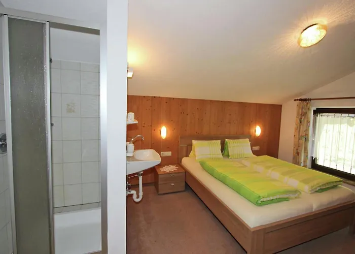 In Fuegen Near Slopes 公寓