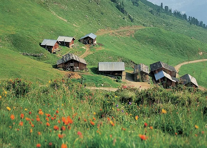 In Fuegen Near Slopes