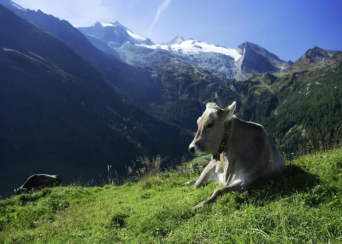 In Fuegen Near Slopes * 乌登斯