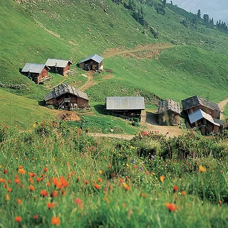 In Fuegen Near Slopes